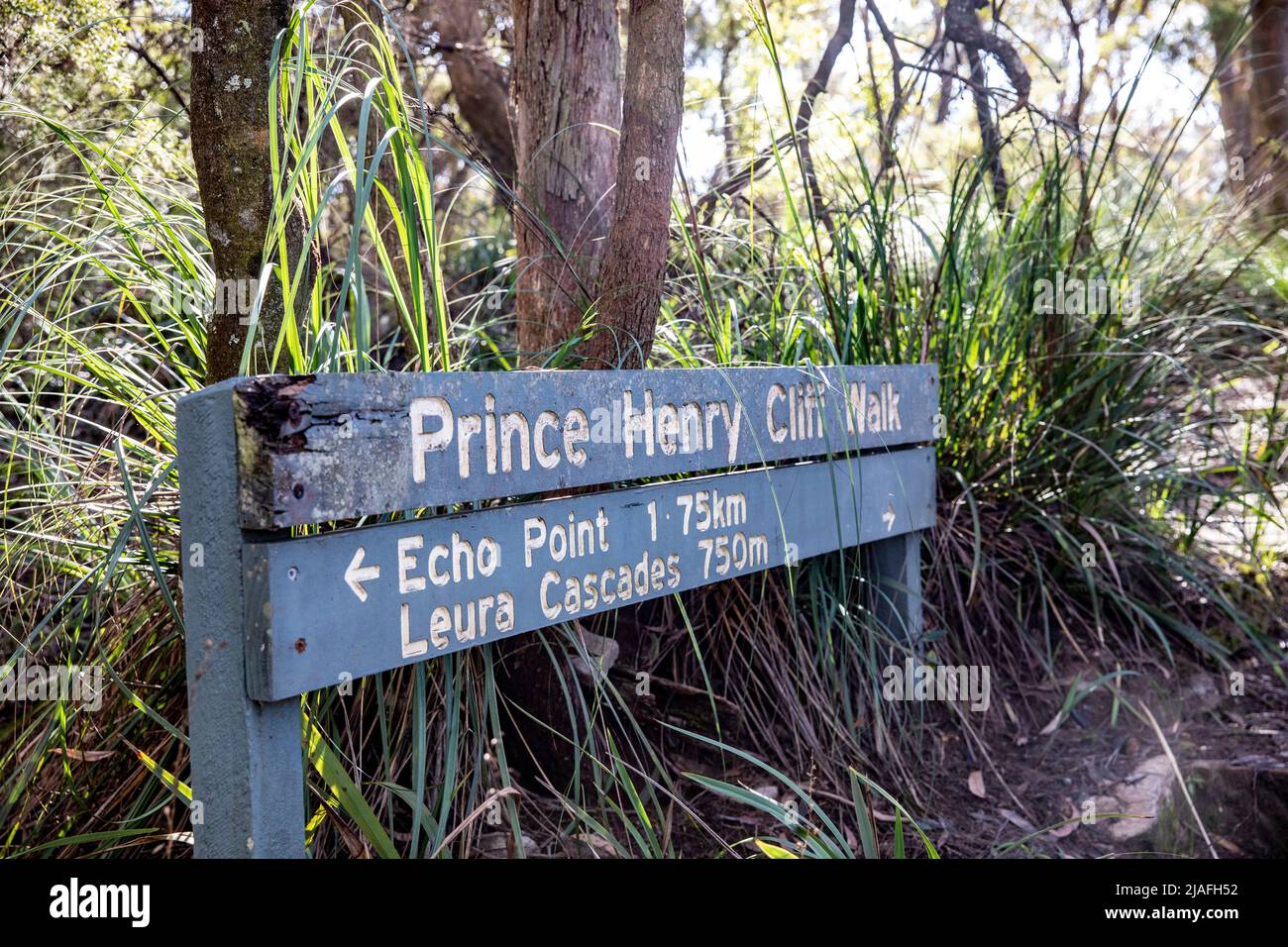 Prince Henry Cliff Walk nel parco nazionale delle Blue Mountains, New South Wales, e indicazioni per Leura Cascades e Echo Point, Australia Foto Stock