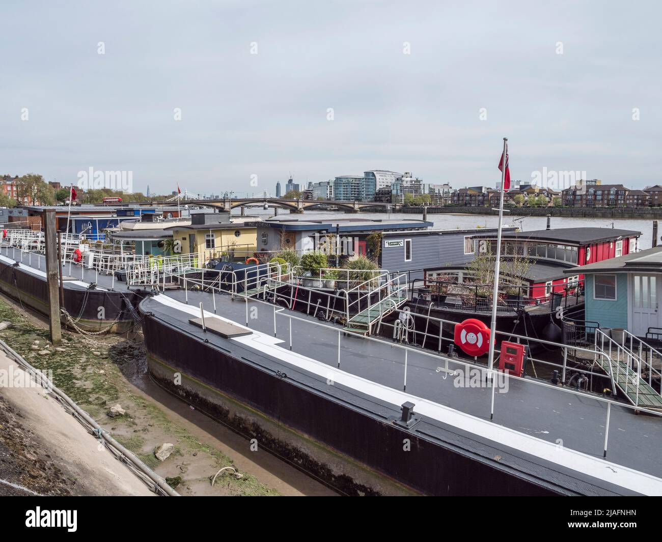 Linea di barche casa sul Tamigi (su Cremorne Rd) a Chelsea, a Kensington & Chelsea, Londra, Regno Unito. Foto Stock