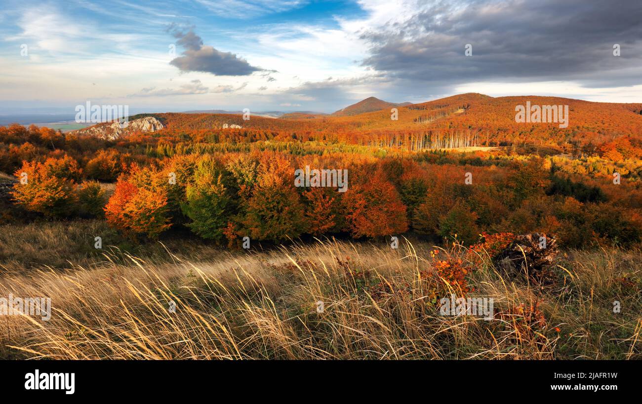 Natura in autunno, montagna con paesaggio forestale Foto Stock