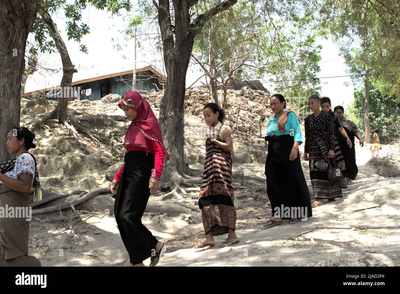 Le donne che camminano su un percorso rurale per partecipare ad una sessione di lutto come un membro della loro comunità è passato via a Kilimbatu, Kawangu, Pandawai, Sumba orientale, Nusa Tenggara orientale, Indonesia. La tradizione legata alla morte nelle comunità Sumbanesi richiede un invito da parte della famiglia in lutto per quanto riguarda chi dovrebbe venire all'evento. Foto Stock