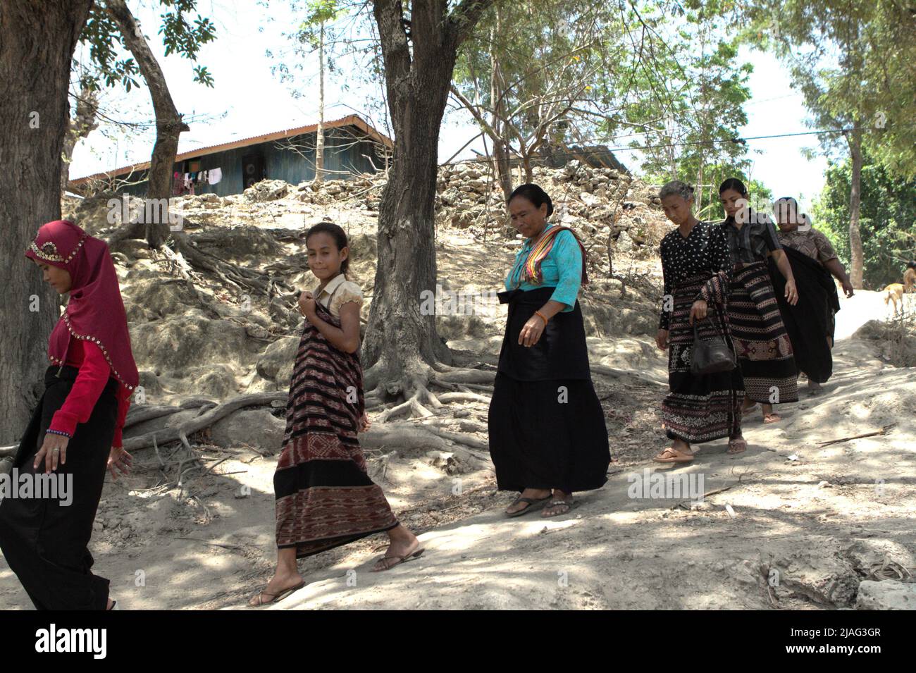 Le donne che camminano su un percorso rurale per partecipare ad una sessione di lutto come un membro della loro comunità è passato via a Kilimbatu, Kawangu, Pandawai, Sumba orientale, Nusa Tenggara orientale, Indonesia. La tradizione legata alla morte nelle comunità Sumbanesi richiede un invito da parte della famiglia in lutto per quanto riguarda chi dovrebbe venire all'evento. Foto Stock