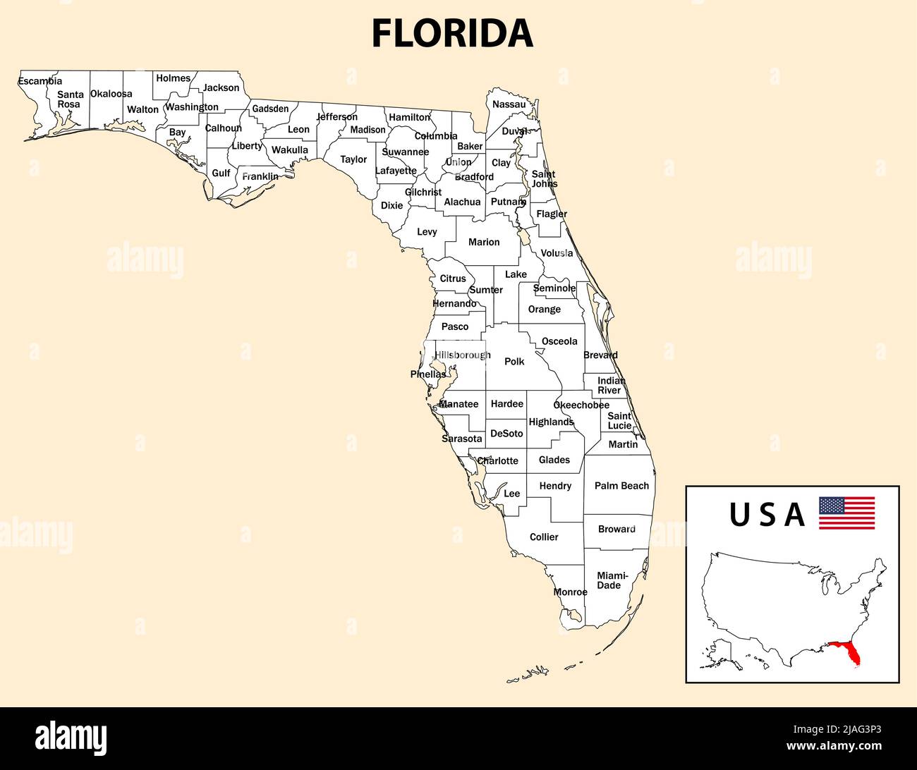 Mappa della Florida. Mappa del distretto della florida in bianco. Mappa del distretto con gli Stati Uniti. Illustrazione Vettoriale
