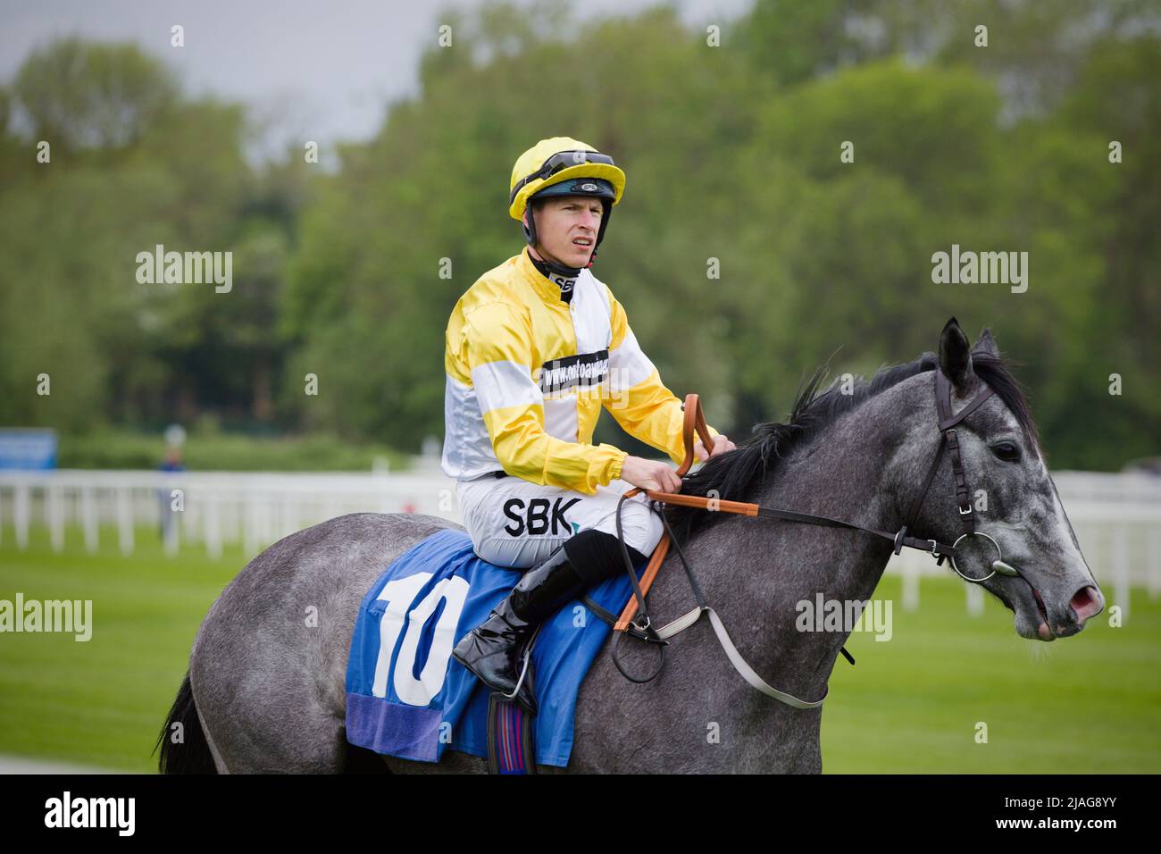 Jockey Richard Kingscote su Rishes Baar alle corse di York. Foto Stock