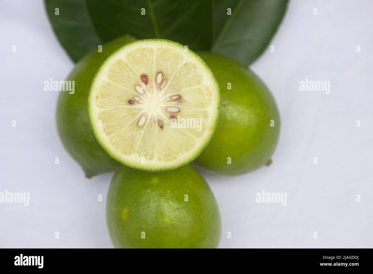 Fette di limone verde fresco con foglia. frutta di limone testy. Rinfrescante bevanda estiva ingrediente Foto Stock