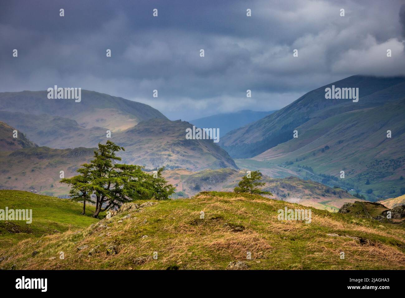 La Valle di Langdale da Black Fell, Lake District, Inghilterra Foto Stock