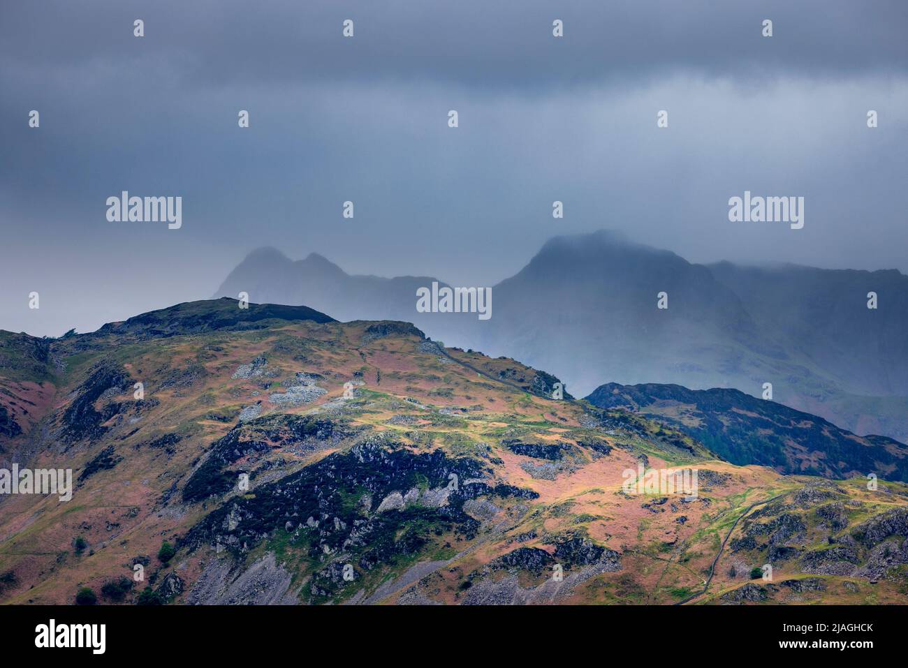 Holme cadde con un nebbiosa Langdale Pikes sullo sfondo, Lake District, Inghilterra Foto Stock
