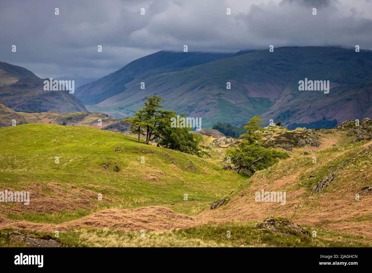 La Valle di Langdale da Black Fell, Lake District, Inghilterra Foto Stock