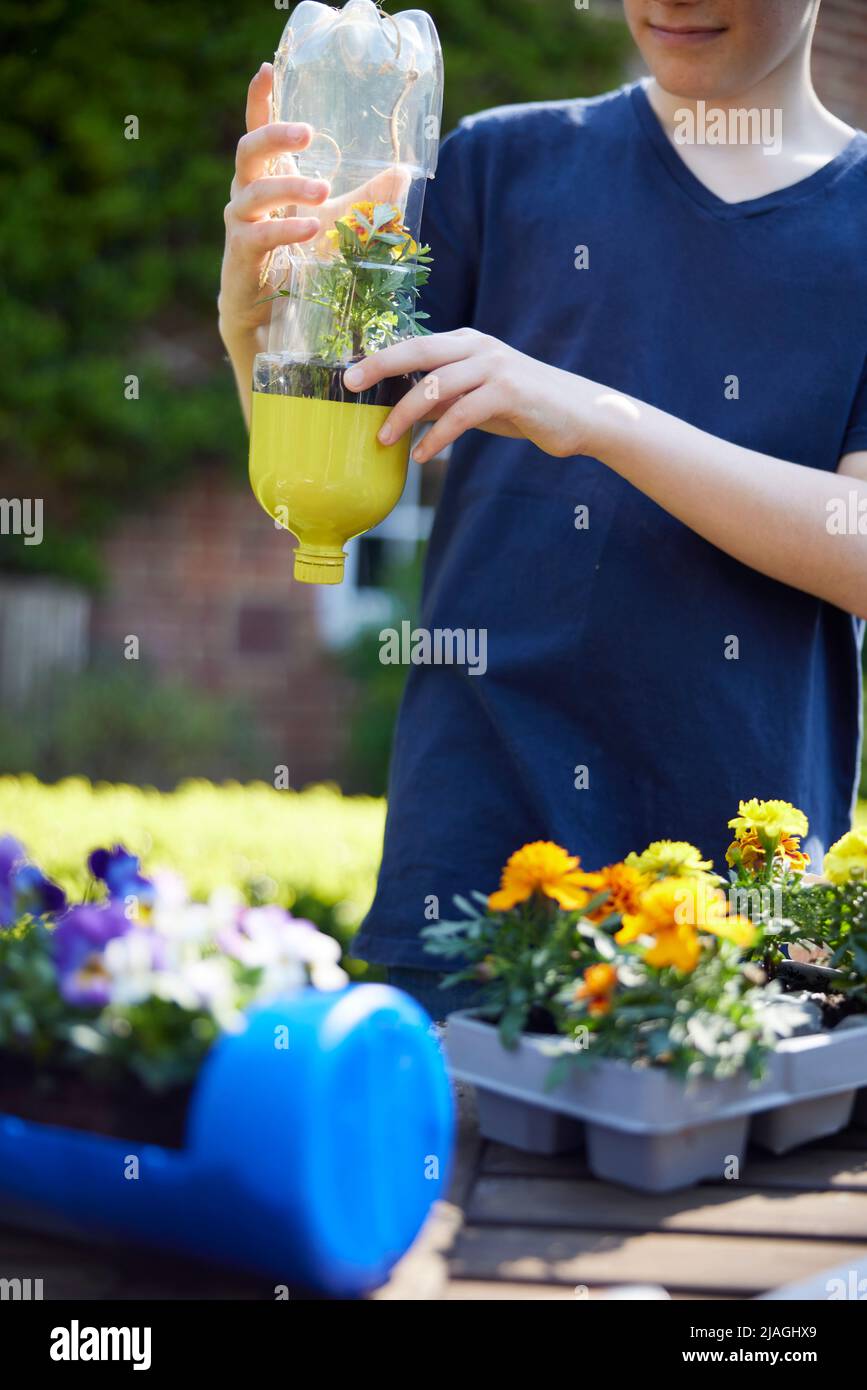 Primo piano di Teenage Boy che fa il supporto di pianta riciclato da rifiuti di bottiglia di plastica in giardino a casa Foto Stock