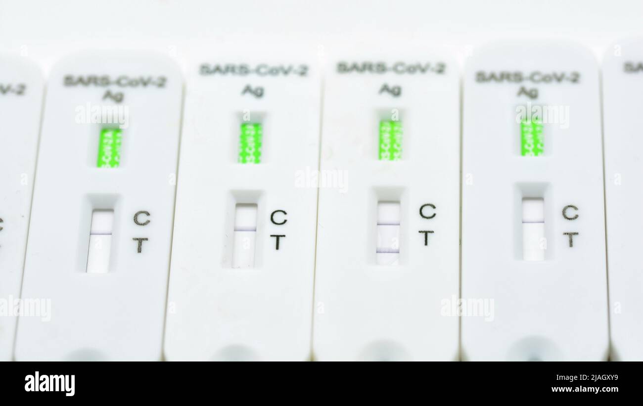 Varios test de antígenos pustos en fila, destinacando uno, que es positivo, aislado en blanco Foto Stock
