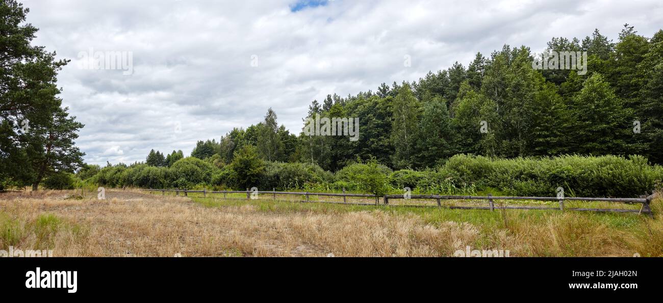 Foto panoramica di un vecchio cortale di legno contro un cielo blu in una giornata di sole. Paddock in erba su terreno agricolo con recinzione in legno su sfondo forestale denso. Rurale Foto Stock