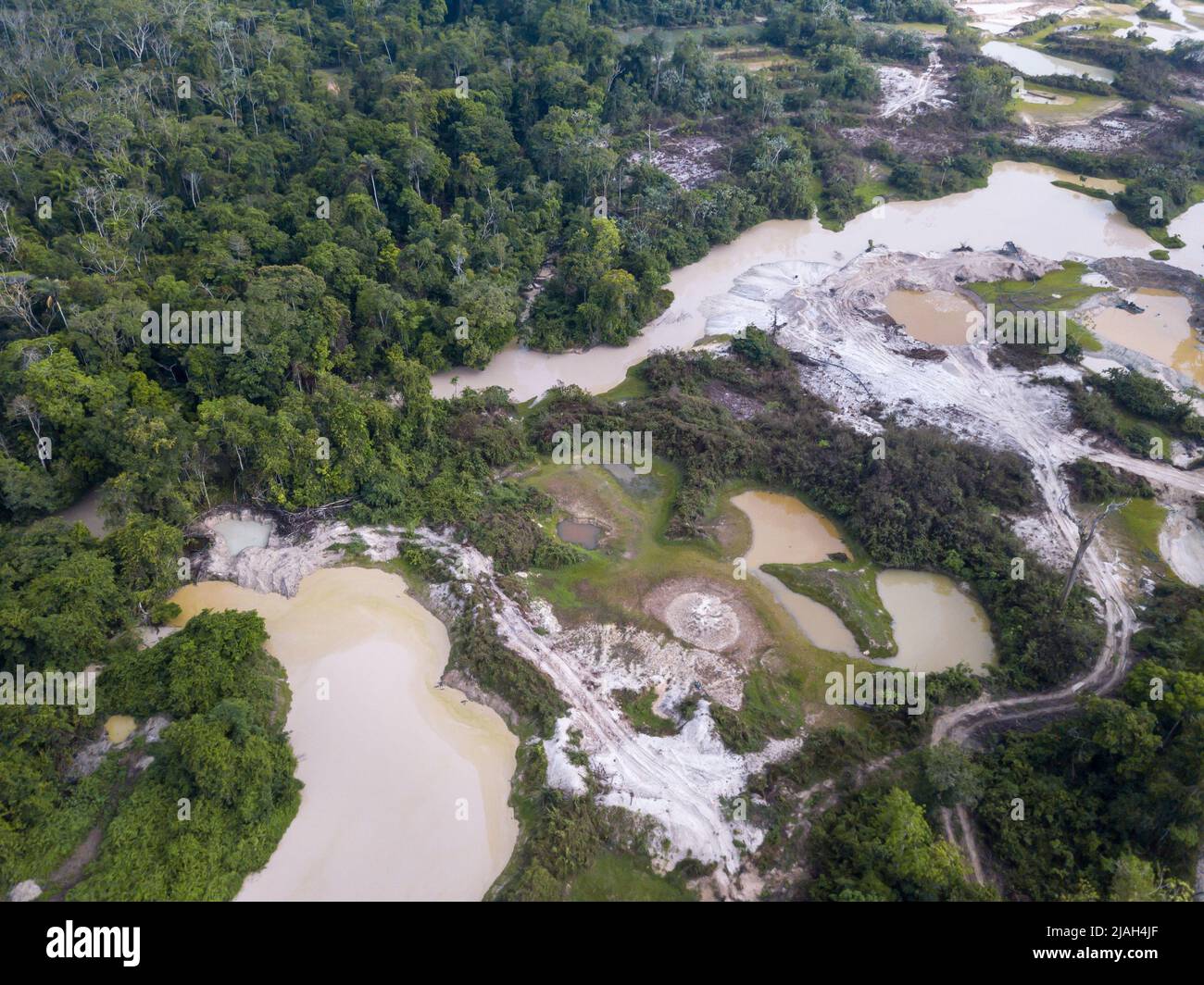 Vista aerea dell'estrazione illegale di oro nel fiume con mercurio nella foresta pluviale amazzonica. Deforestazione di alberi forestali. Ambiente, ecologia, clima, miniera. Foto Stock