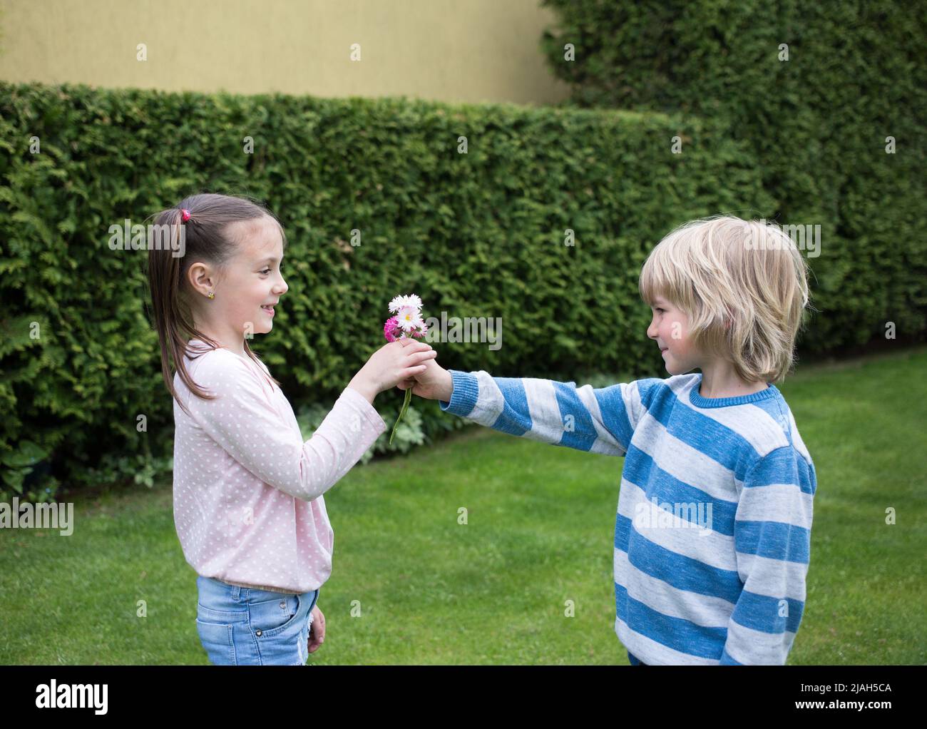 Bella bambini 6-7 anni in parco, il ragazzo dà la ragazza margherita fiori . Il concetto di amicizia e amore per i bambini. San Valentino. Sorpresa g Foto Stock