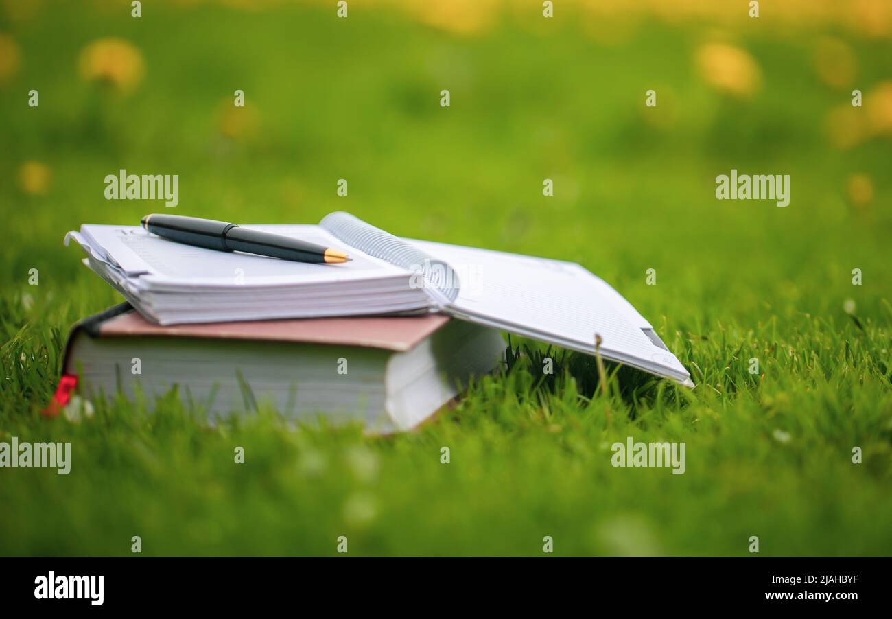 Organizzatore e libro all'aperto in erba di un parco Foto Stock