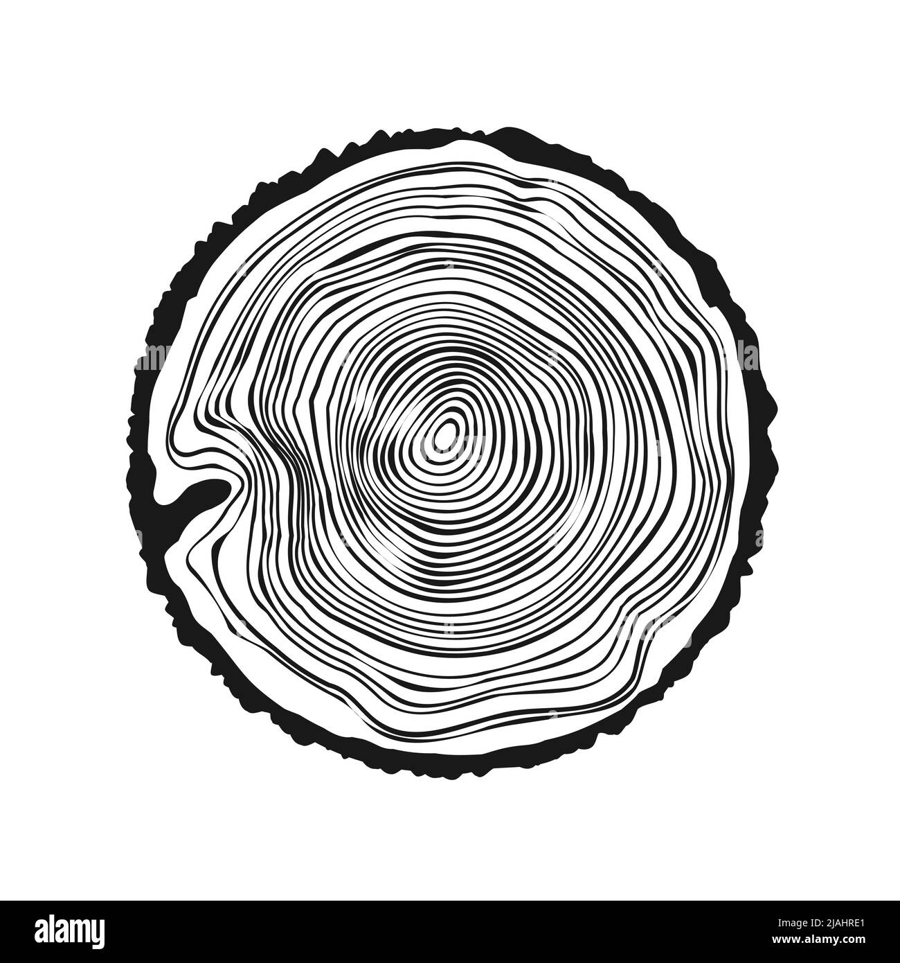 Tronco di albero rotondo tagliato, segato pino o fetta di quercia. Legname tagliato da poco, legno. Tessitura di legno con anelli di albero. Schizzo disegnato a mano. Illustrazione vettoriale Illustrazione Vettoriale