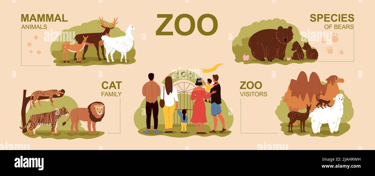 Set infografico Zoo con famiglia di gatti e visitatori illustrazione vettoriale piatta Illustrazione Vettoriale