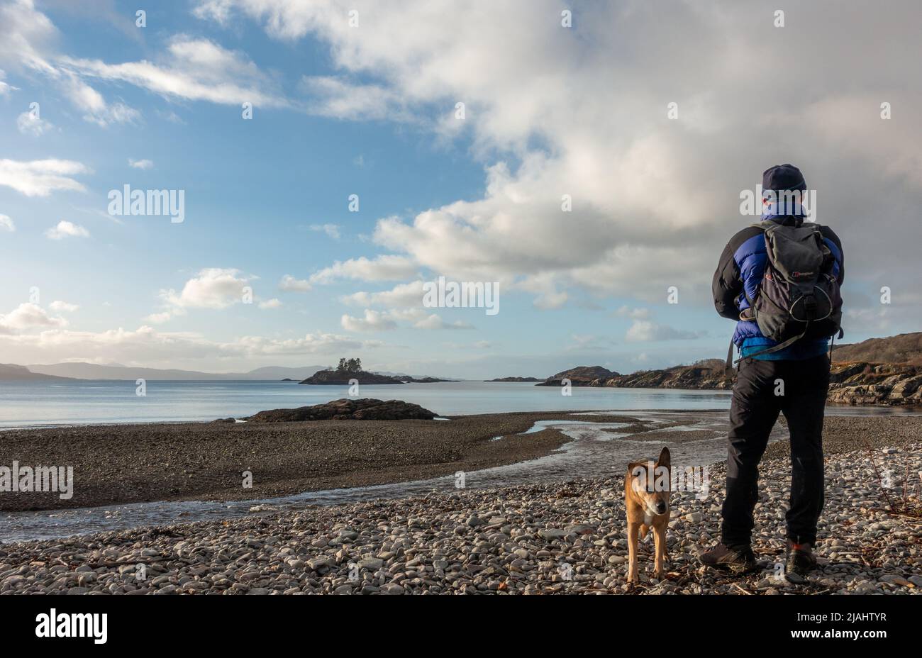 Paesaggio scozzese - persona con cane ammirando la vista presso la splendida posizione selvaggia di Druimindarroch e Borrodale Beach in inverno, vicino Arisaig, SC Foto Stock