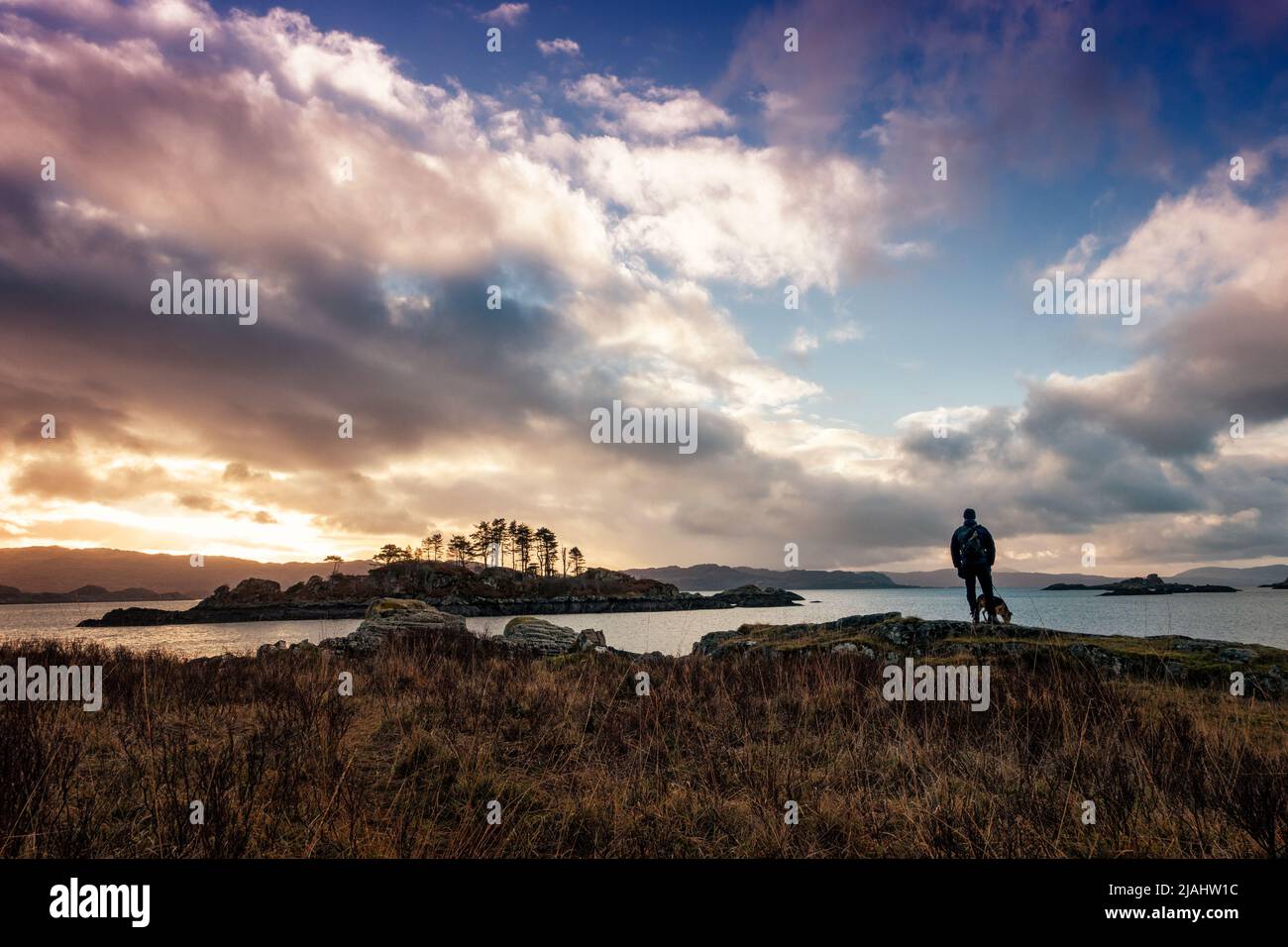 Paesaggio scozzese - persona con cane ammirando la vista e l'alba in una passeggiata selvaggia a Druimindarroch e Borrodale Beach in inverno, vicino Arisaig, Scotl Foto Stock