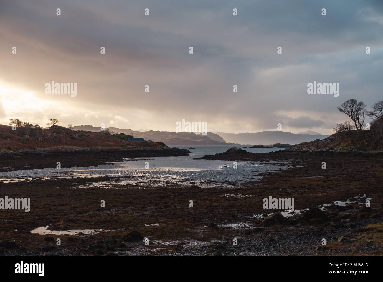 Paesaggio scozzese - passeggiata selvaggia a Druimindarroch e Borrodale Beach in inverno, vicino Arisaig, Scozia Foto Stock