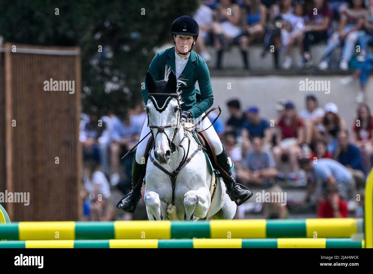 Roma, Italia. 29th maggio 2022. Willem Greve (NED) durante il Premio 10 - Roma Rolex Grand Prix del 89th CSIO Roma 2022 a Piazza di Siena a Roma il 28 maggio 2022 credito: Agenzia fotografica indipendente/Alamy Live News Foto Stock