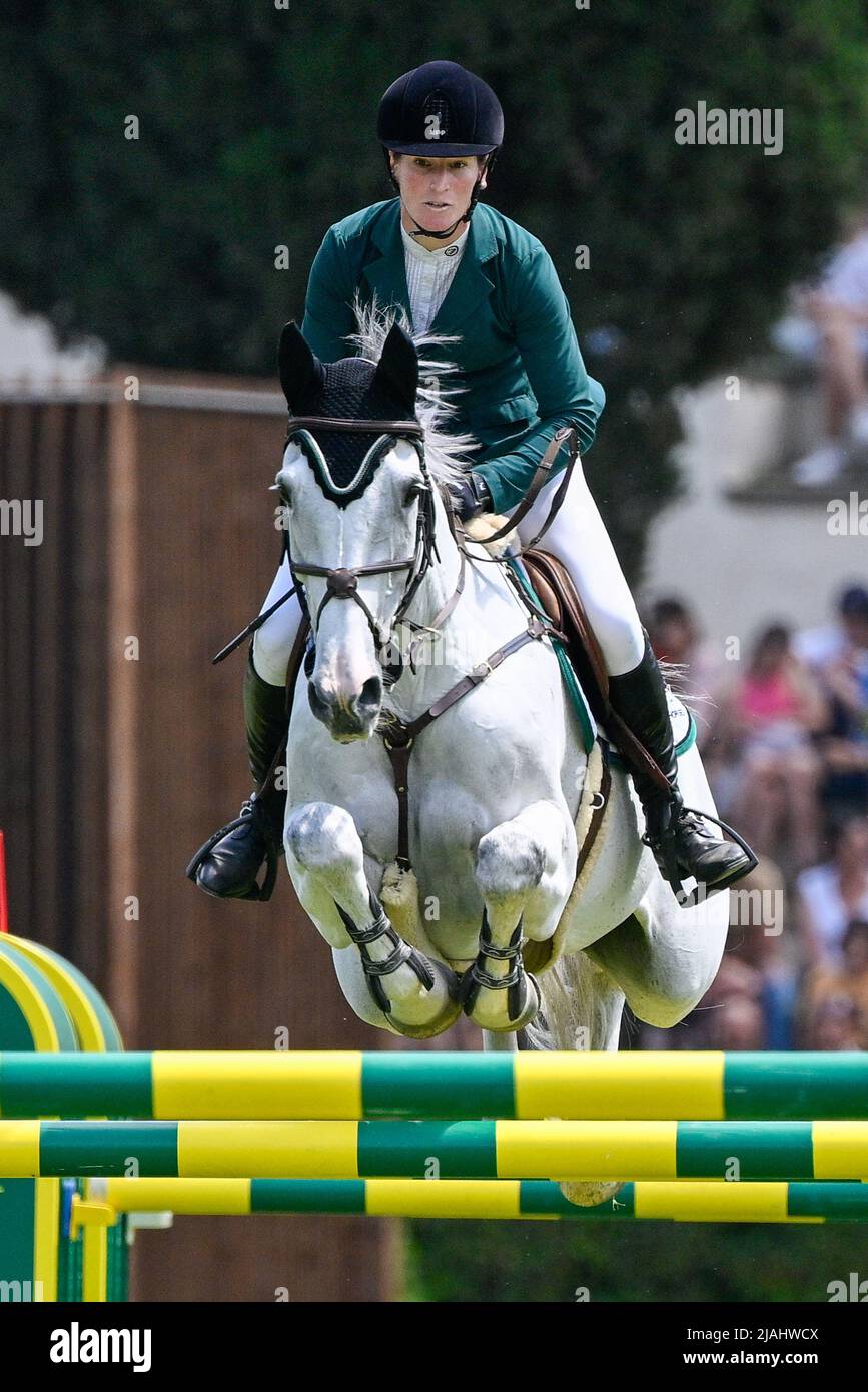 Roma, Italia. 29th maggio 2022. Willem Greve (NED) durante il Premio 10 - Roma Rolex Grand Prix del 89th CSIO Roma 2022 a Piazza di Siena a Roma il 28 maggio 2022 credito: Agenzia fotografica indipendente/Alamy Live News Foto Stock