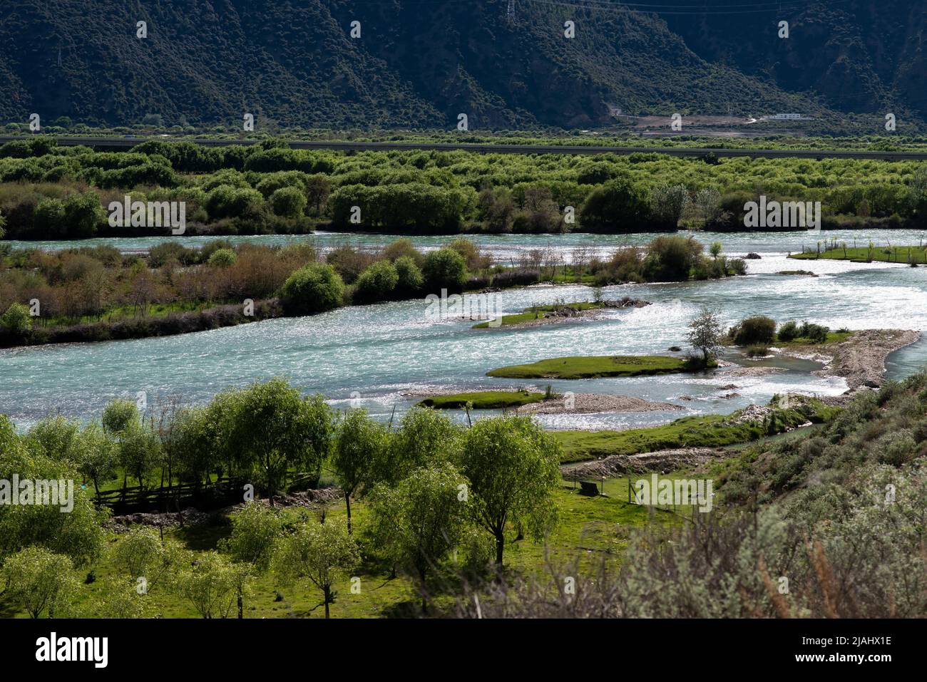 Yarlung Zangbo River Canyon e cespugli, Nyingchi, Tibet, Cina Foto Stock