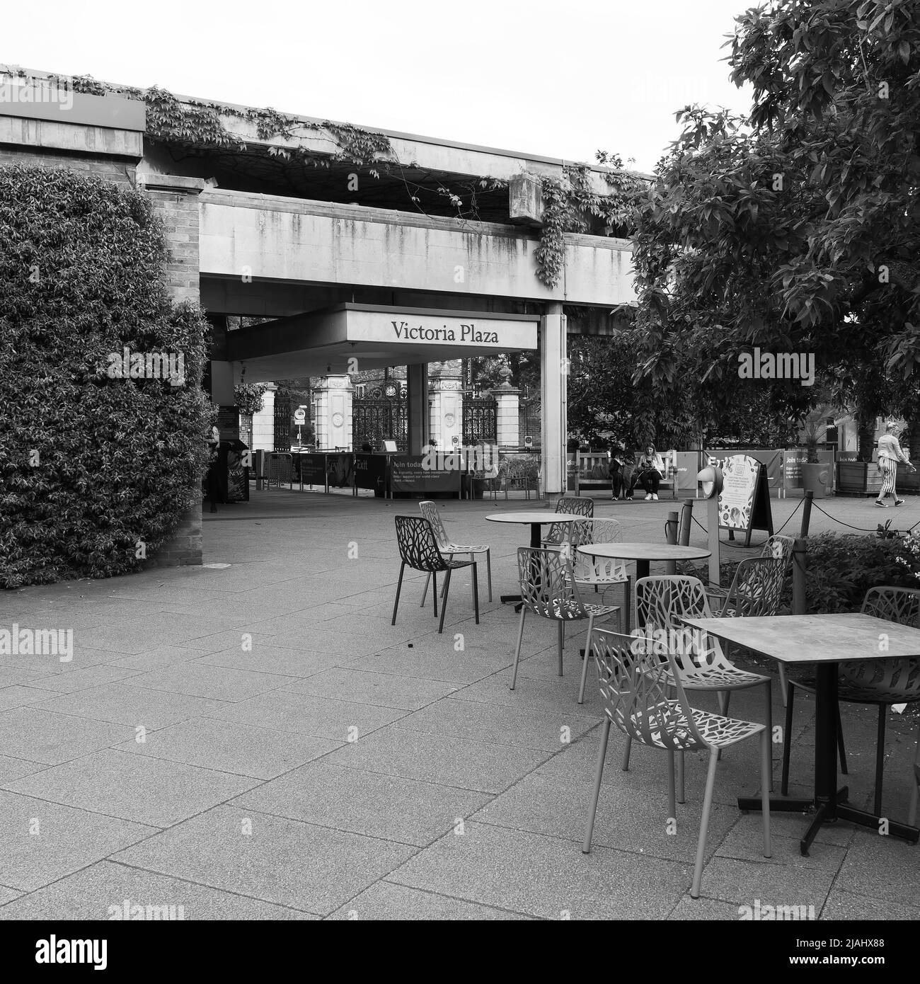 Richmond, Greater London, England, Maggio 18 2022: Royal Botanic Gardens Kew. Ingresso Victoria Plaza con tavolo da caffè e sedie. Monocromatico. Foto Stock