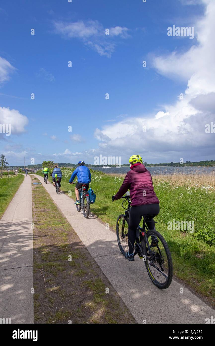 Tour in bicicletta, Sieseby, Schlei, Schleswig-Holstein, Germania Foto Stock