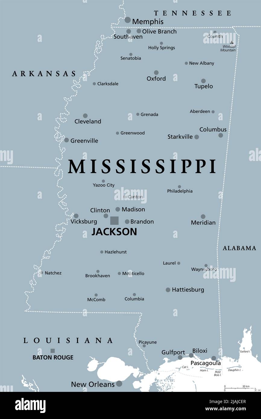 Mississippi, MS, mappa politica grigia con Jackson capitale, e grandi e importanti città. Stato nella regione sudorientale degli Stati Uniti. Foto Stock