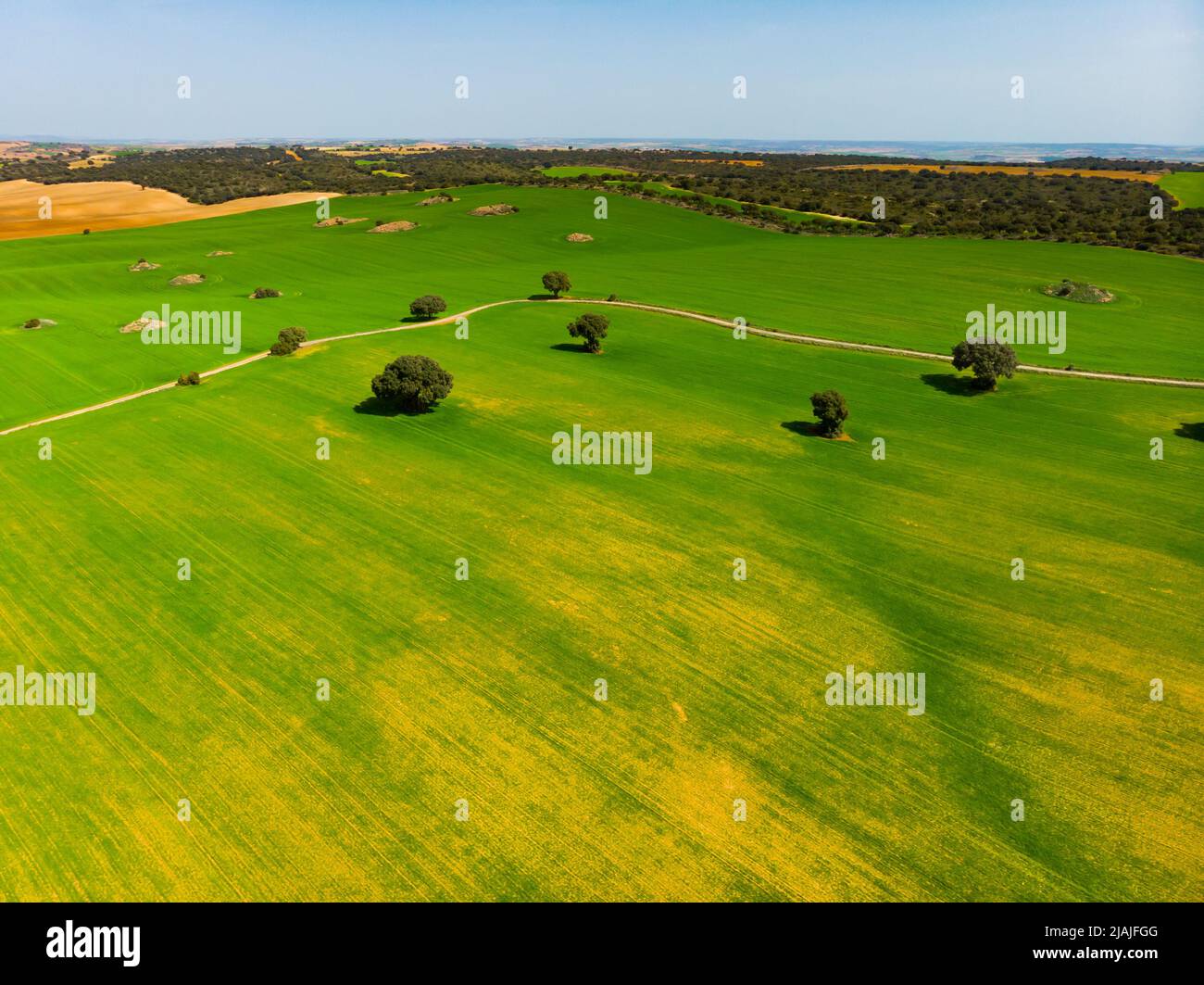 Vista aerea dei campi nella regione di Castiglia-la Mancha Foto Stock