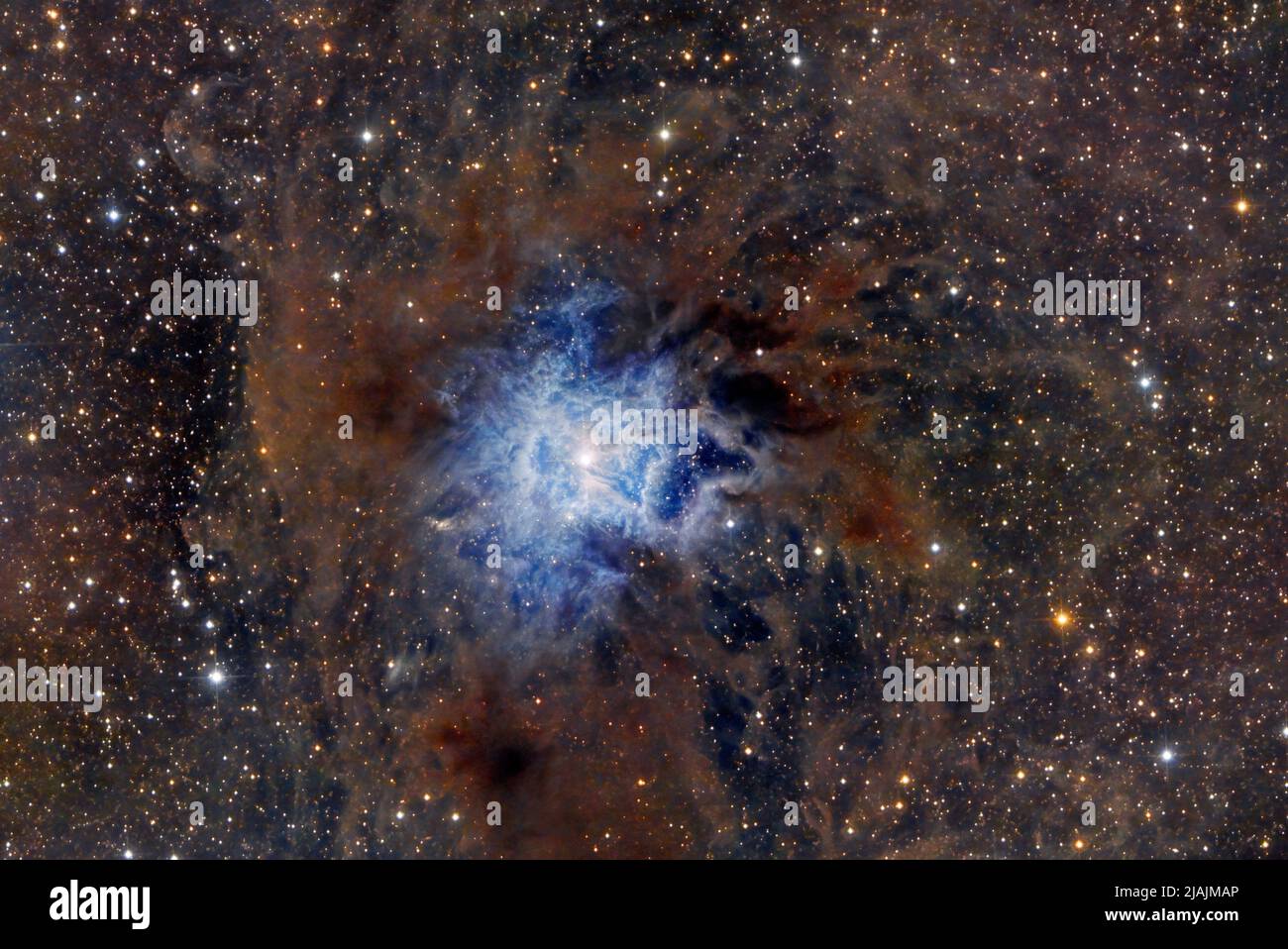 Iris Nebula, NGC 7023. Foto Stock