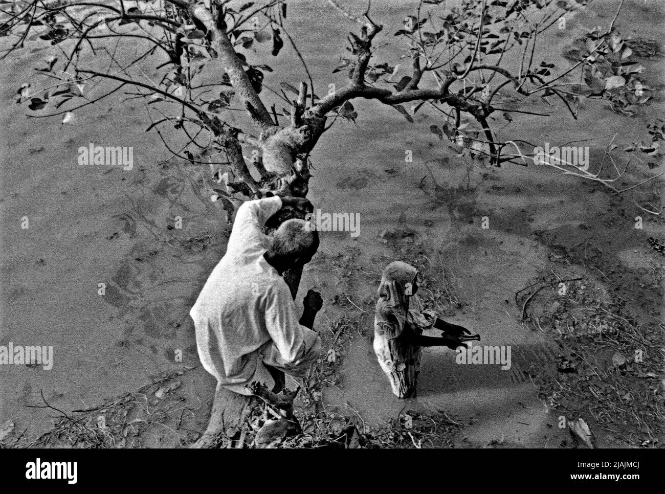 Una donna indù che adorava il suo Dio nell'acqua mentre il purohit (sacerdote) sull'albero dà la direzione. Sitakunda, Chittagong, Bangladesh. 2001. Foto Stock