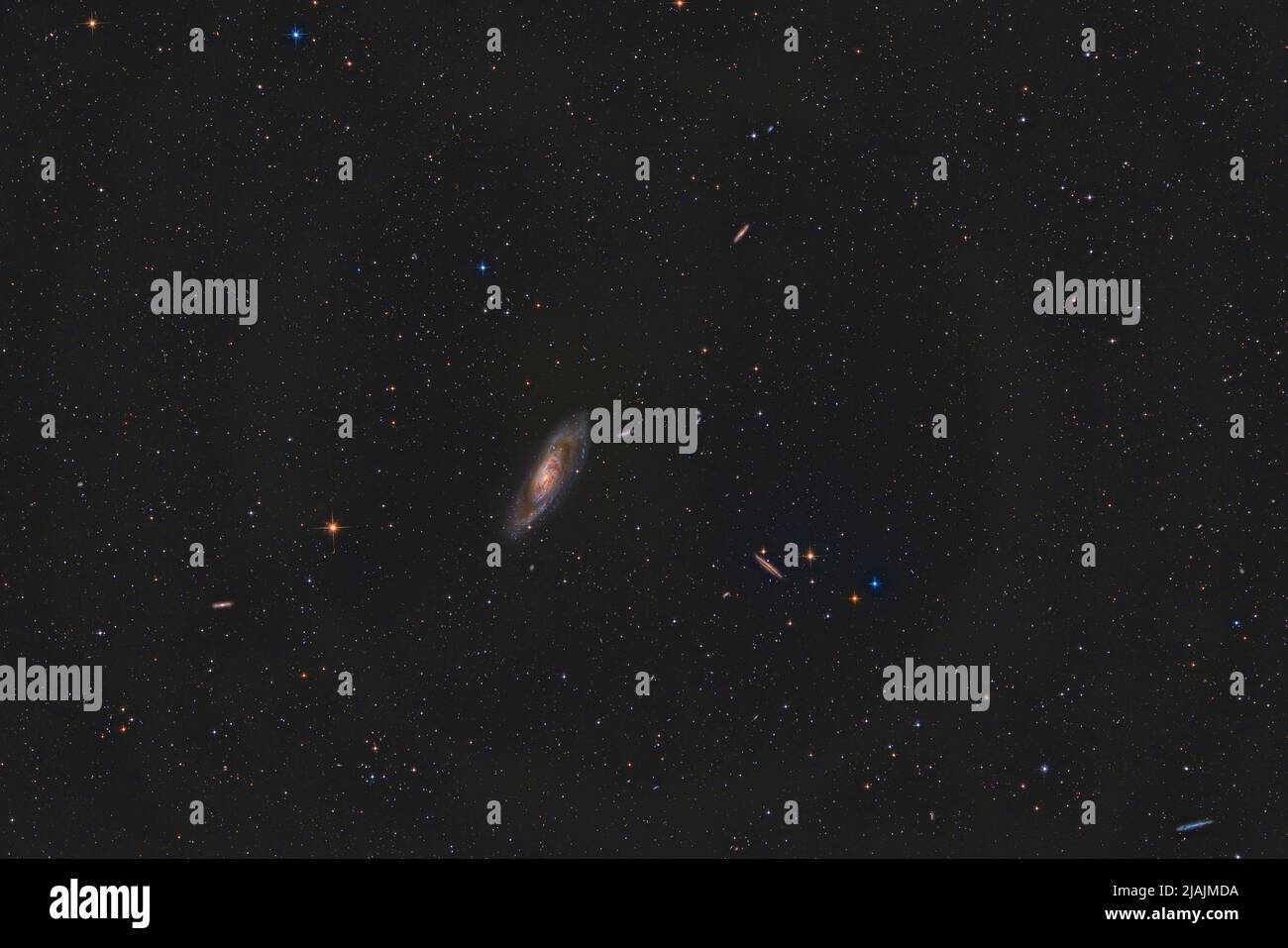 Galassia a spirale intermedia Messier 106. Foto Stock