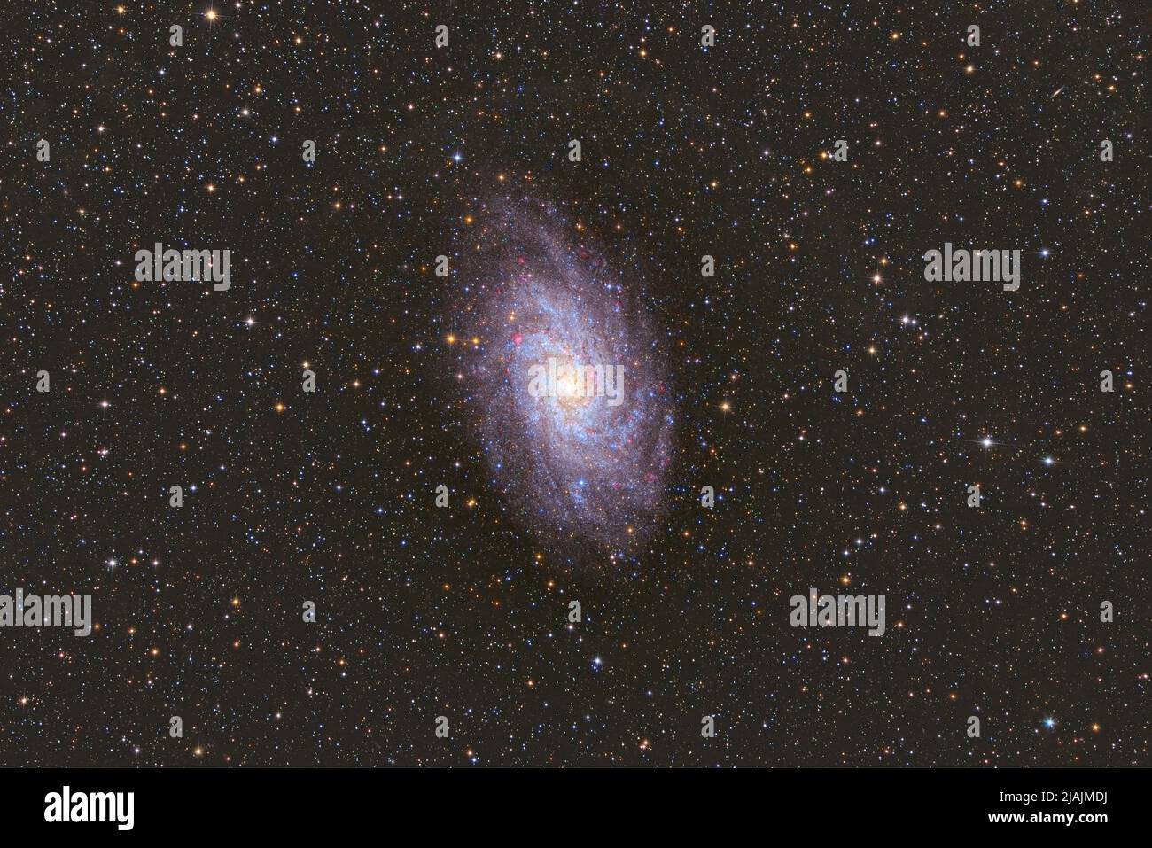 Triangulum Galaxy, Messier 33. Foto Stock