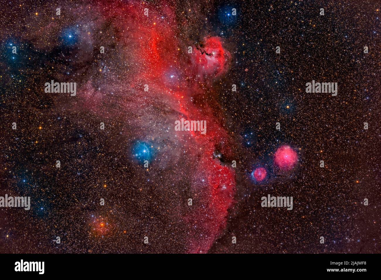 Seagull Nebula, IC 2177. Foto Stock