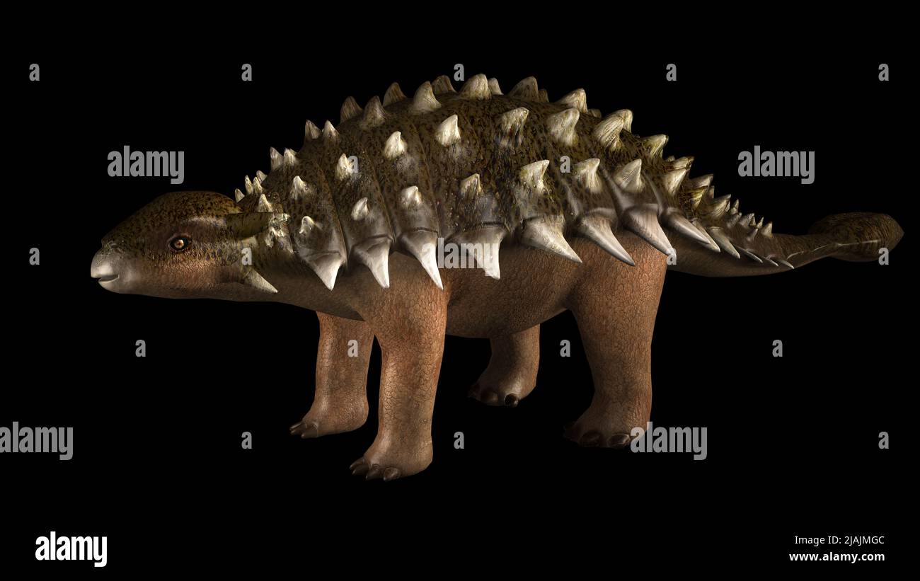 Ankylosaurus dinosauro, vista laterale. Foto Stock