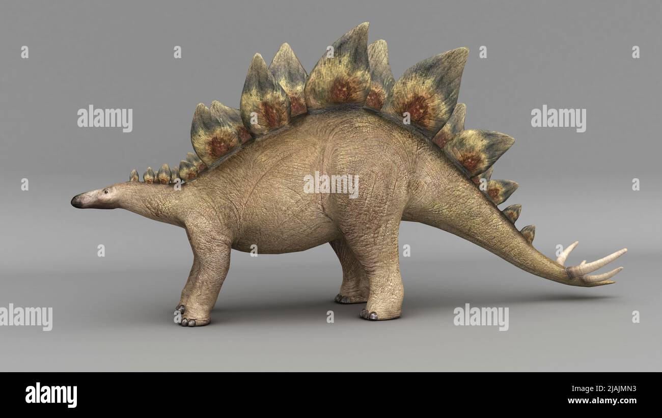 Dinosauro Stegosaurus, sfondo colorato. Foto Stock