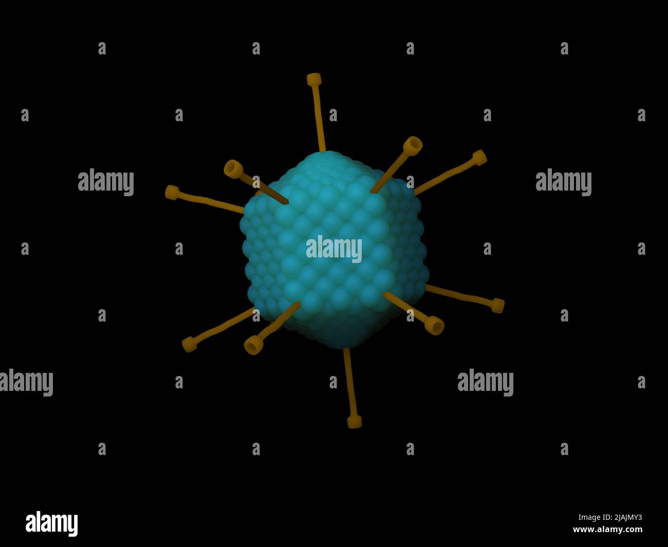 Illustrazione biomedica concettuale di un adenovirus, su sfondo nero. Foto Stock