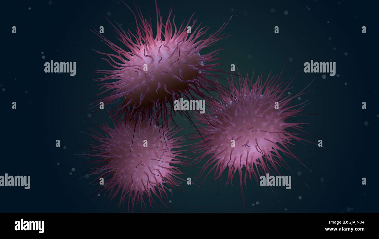 Illustrazione biomedica di Neisseria meningitidis, una meningite batterica. Foto Stock