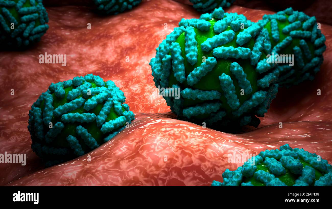 Illustrazione biomedica concettuale del flavivirus sulla superficie. Foto Stock