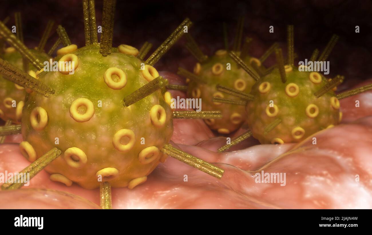 Illustrazione biomedica concettuale del virus herpes simplex sulla superficie. Foto Stock