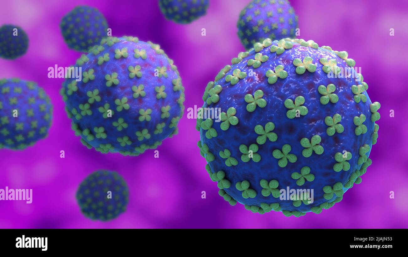 Illustrazione biomedica concettuale del virus Hantaan. Foto Stock