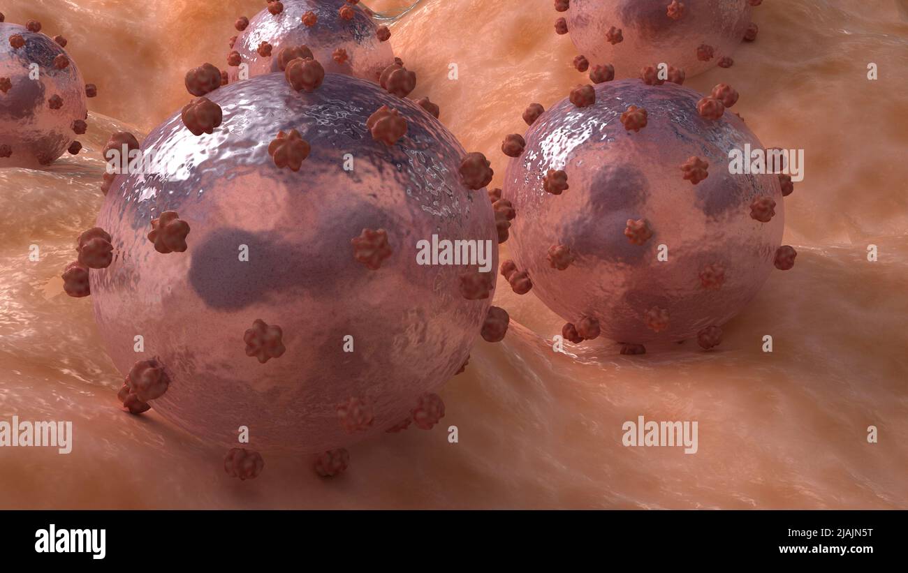 Illustrazione biomedica concettuale del virus Lassa sulla superficie. Foto Stock