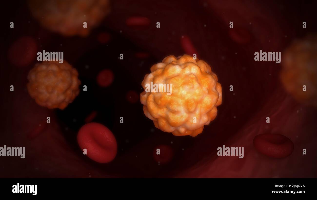 Illustrazione biomedica concettuale del virus della scimmietta nel flusso sanguigno. Foto Stock