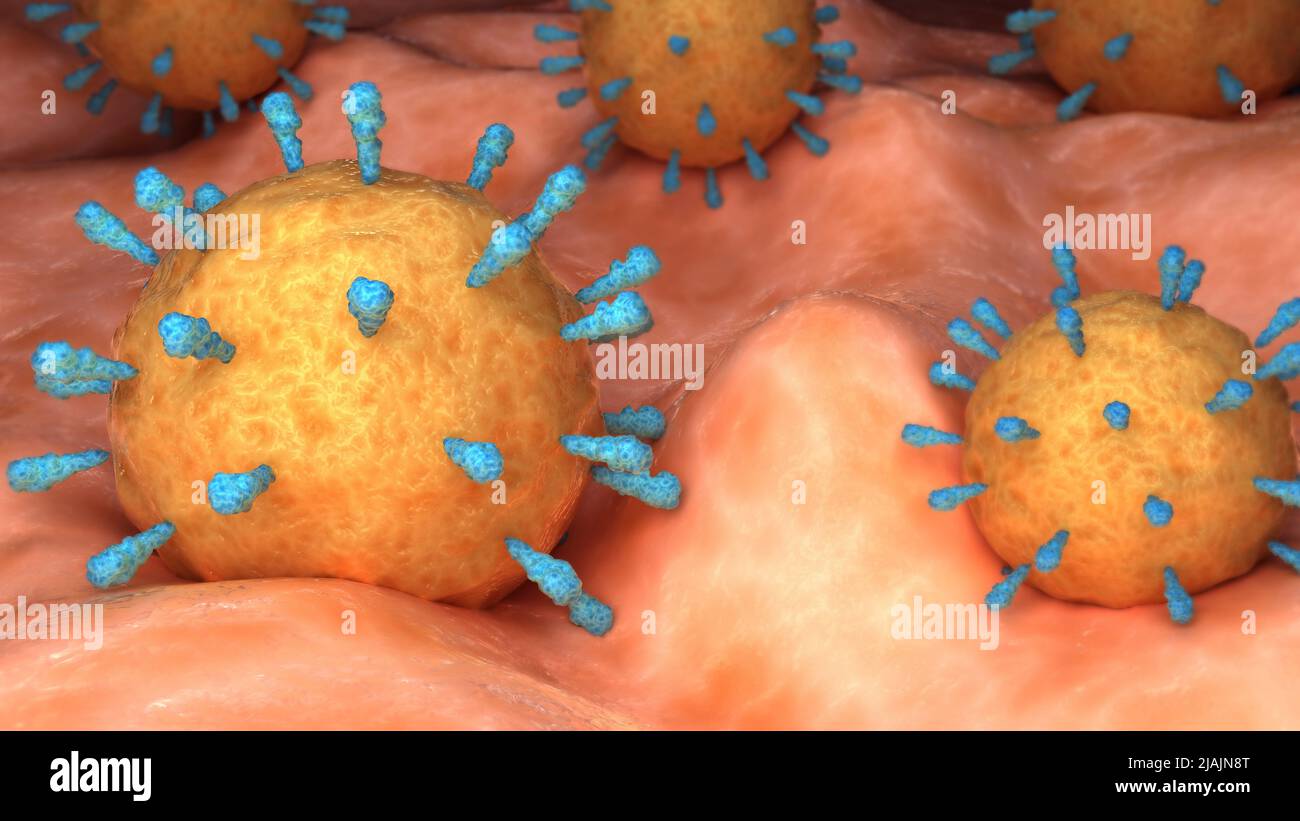 Illustrazione biomedica concettuale del virus del morbillo della rubeola sulla superficie. Foto Stock