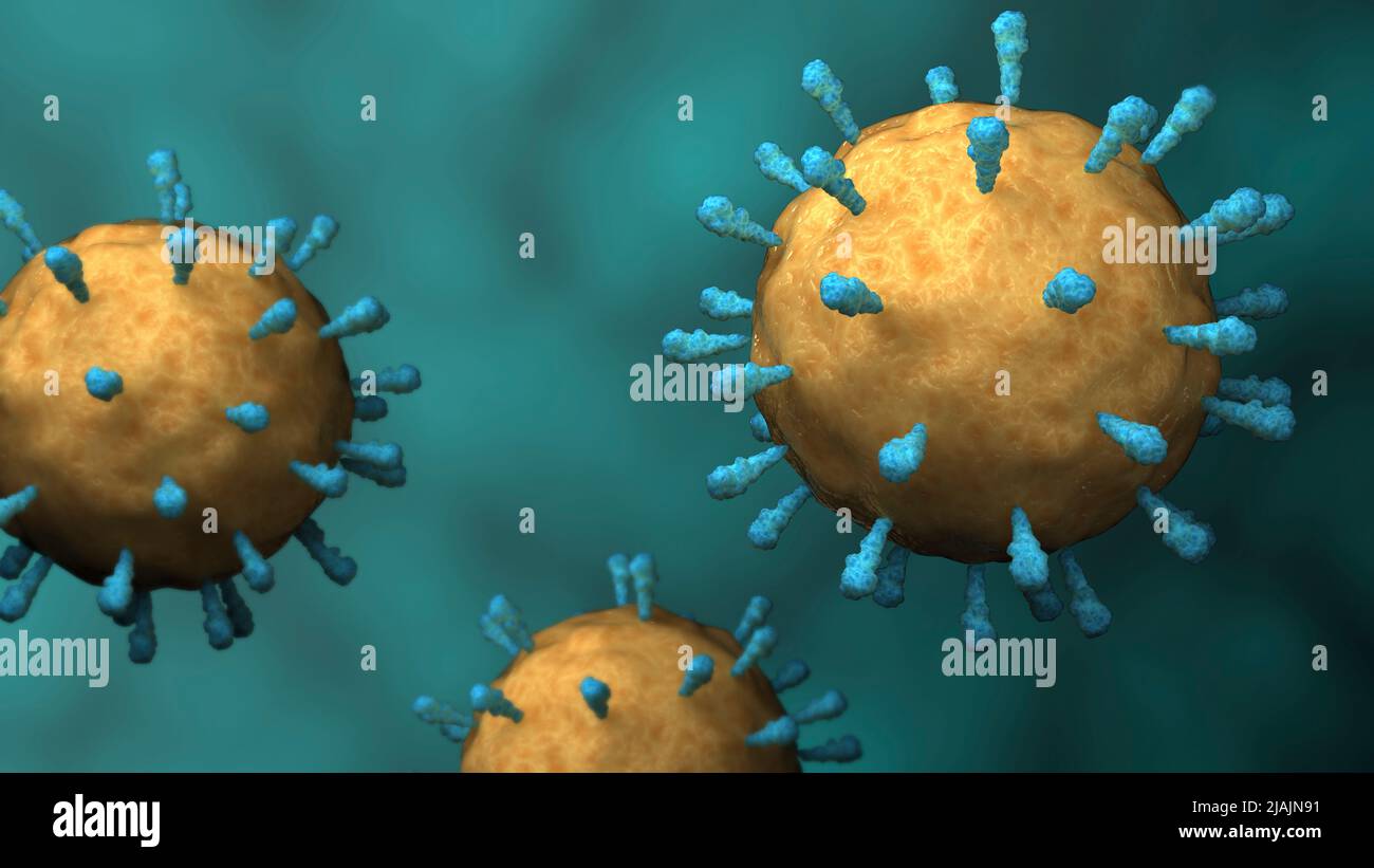 Illustrazione biomedica concettuale del virus del morbillo della rubeola. Foto Stock