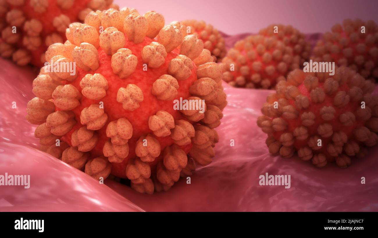 Illustrazione biomedica concettuale del norovirus sulla superficie. Foto Stock