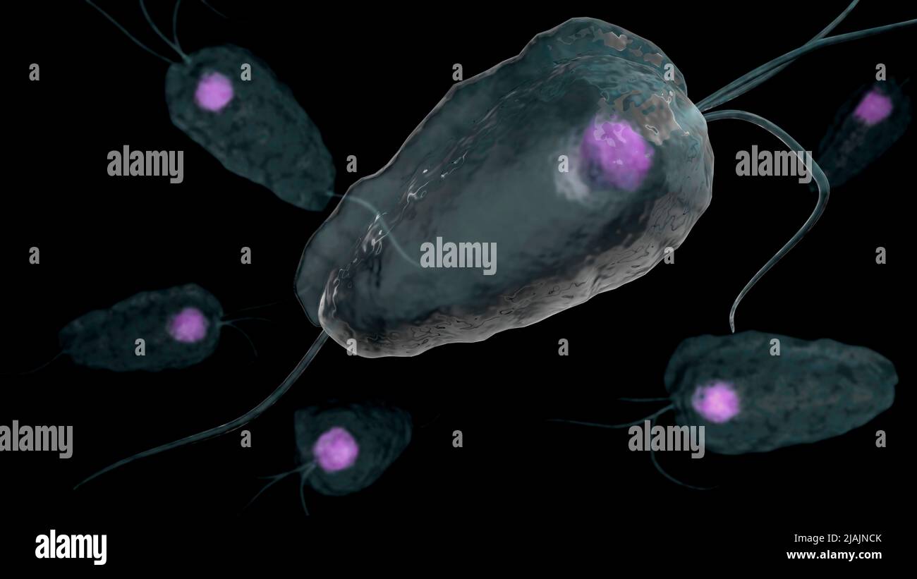 Illustrazione biomedica concettuale della tricomoniasi, una malattia infettiva sessualmente trasmessa. Foto Stock