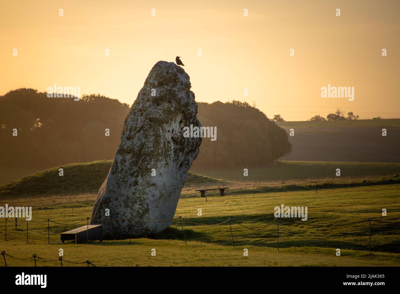 Antica pietra del tallone con uccello appollaiato sulla cima del sito patrimonio dell'umanità dell'UNESCO di Stonehenge preistorica in bella luce del mattino Foto Stock