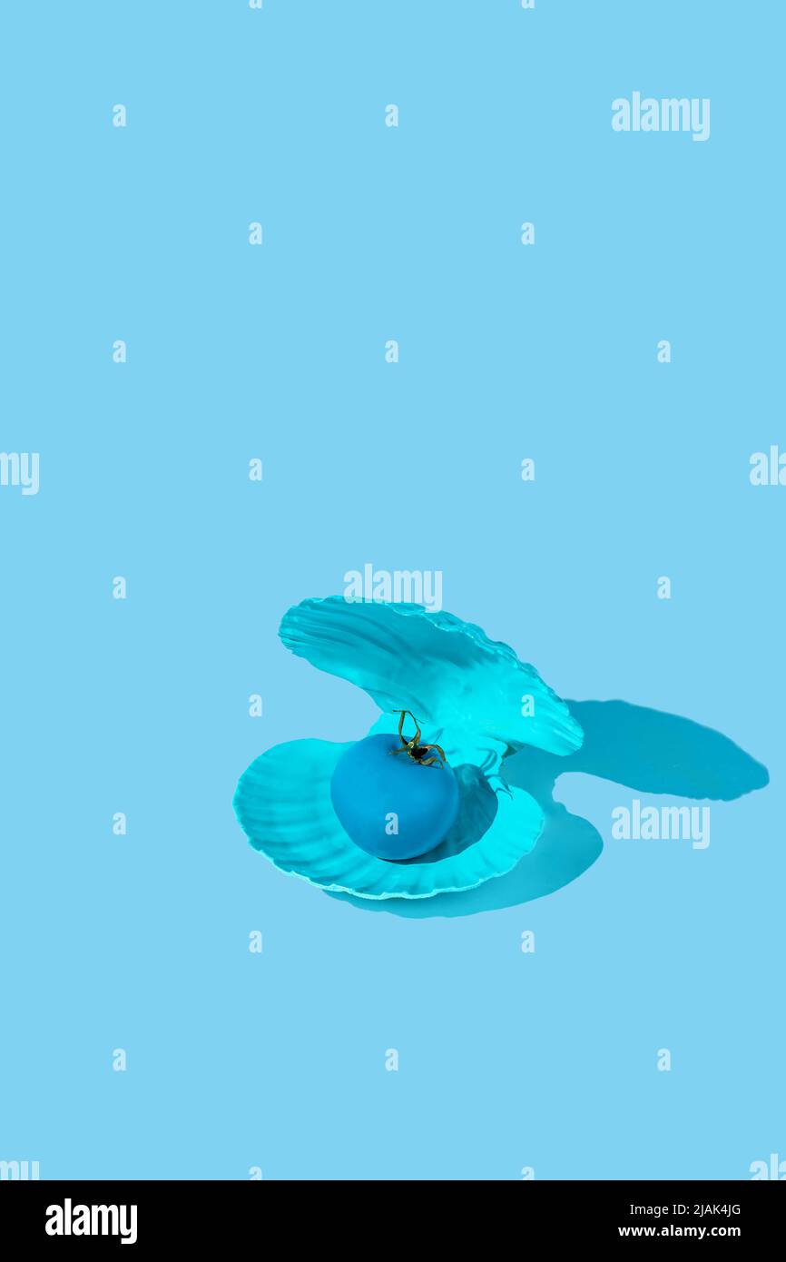 Pomodoro blu in una conchiglia su sfondo blu. Estate minimo sano concetto di cibo. Layout isometrico. Rettangolo con spazio di copia Foto Stock