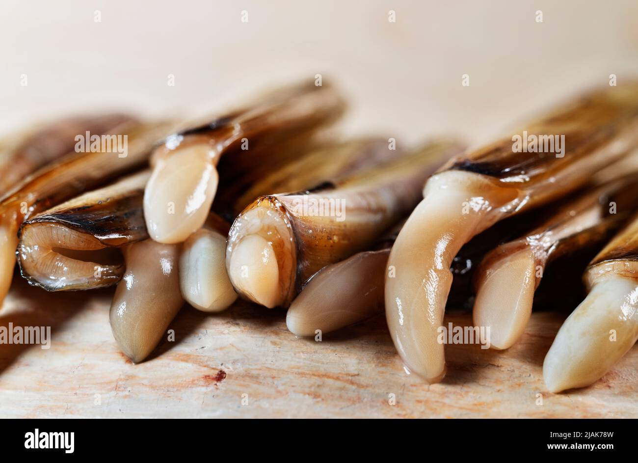 Guscio di rasoio allungato , rettangolare , pesce bivalve , solen marginatus , Foto Stock